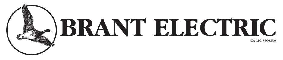 Brant Electric Logo